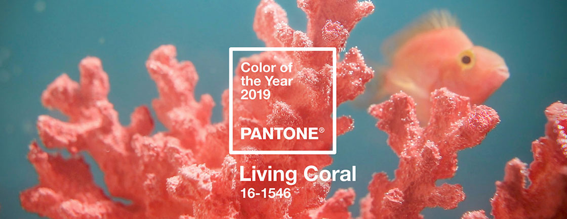 Pantone Color of the Year 2019 is Living Coral